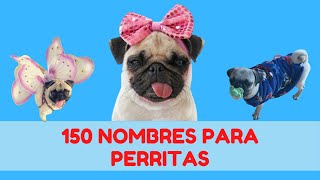 150 NOMBRES CORTOS PARA PERRITAS  MEJORES NOMBRES PARA PERRAS [upl. by Corin]