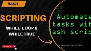 Loops in Script  While Loop   Bash Script  RHCSA 90  MrCyberAK  Hindi [upl. by Esalb]