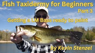 Fish Taxidermy for beginners Part 3 Finishing a LM Bass Skin Mount [upl. by Lockwood]