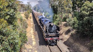 R711 at Traralgon [upl. by Pain]