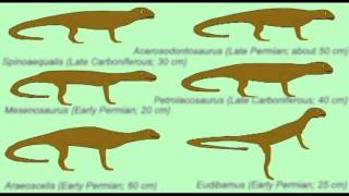 PL2BASAL DIAPSIDS [upl. by Quenna]