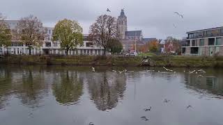 Oudenaarde wandeling langs de Schelde [upl. by Eilegna]