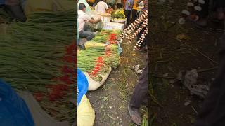 Flower market of Kolkata everyone viralvideo youtubeshorts [upl. by Aihsekyw870]