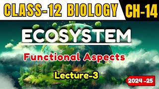 ECOSYSTEM I LECTURE 3 I FUNCTIONAL ASPECTS I CLASS12 I NEETCBSEState Board [upl. by Raney]