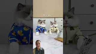 Let’s makes Chocolate in a new way with Puff P1 cat funny lifehacks [upl. by Maridel771]