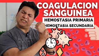 FISIOLOGIA DE LA COAGULACION 🩸 Hemostasia PRIMARIA y SECUNDARIA  FACIL [upl. by Kelli889]