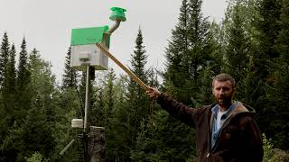 Automatic spruce budworm phermone trap [upl. by Aikim]