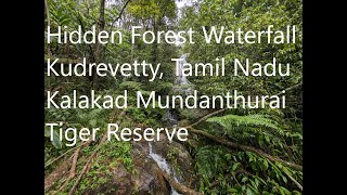 Hidden pristine forest waterfall between Oothu and Kudrevetty in Kalakad Mundanthurai Tiger Reserve [upl. by Kati767]