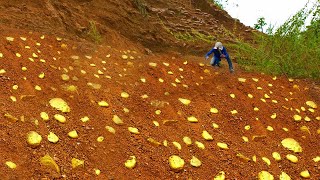 OMG Lucky Lucky Day Mining Gold  Finding and digging gold [upl. by Adnilym]