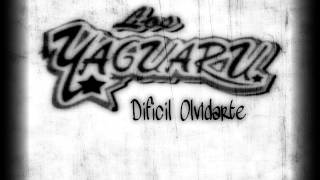 Yaguaru  Dificil Olvidarte [upl. by Booth566]