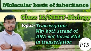 Molecular basis of inheritancePart 15Transcription in detail class12 neet biologyscience [upl. by Nosloc]