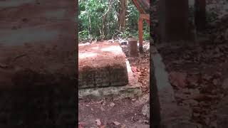 Altar en Piedras Negras peten piedrasnegras video shorts arqueologia [upl. by Assenar894]