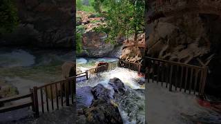 Hogenakkal Waterfalls tamilnadu [upl. by Nester]