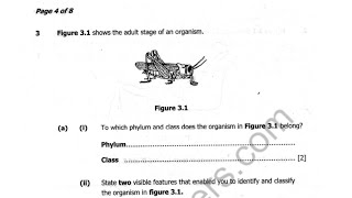 2019 BIOLOGY PAPER 2 QUESTION 3 AND 4 [upl. by Esilahc308]