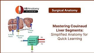 Mastering Couinaud Liver Segments Simplified Anatomy for Quick Learning [upl. by Peskoff436]