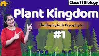 Plant Kingdom Class 11 Biology  NCERT Chapter 3  CBSE  Kingdom Plantae One Shot Complete Chapter [upl. by Nalorac]