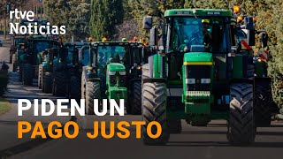 Los AGRICULTORES ESPAÑOLES se SUMAN a sus COLEGAS europeos y DEMANDAN otra POLÍTICA AGRARIA  RTVE [upl. by Aneehsor135]