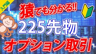 オプション取引わかりやすく解説・猿でも分かる初心者向け日経225先物コールオプションとプットオプション買いと売りとSQ [upl. by Fleming888]