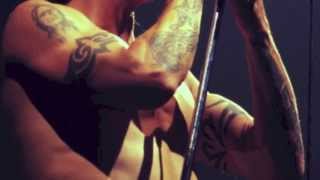 Best of Anthony Kiedis Studio [upl. by Ellehcram635]