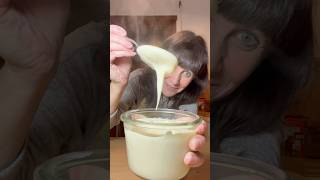 FRENCH BECHAMEL SAUCE alychalloner recipe cooking chef bechamel shorts cookingshorts [upl. by Eberly]