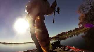 Lake Shawnee yellow perch [upl. by Onek]