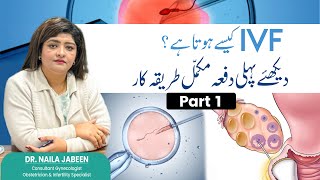 IVF Process Step by Step  Dr Naila Jabeen [upl. by Nrojb]