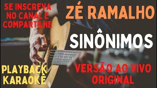 Zé Ramalho  Sinônimos  karaokê versão original ao vivo [upl. by Armalda434]