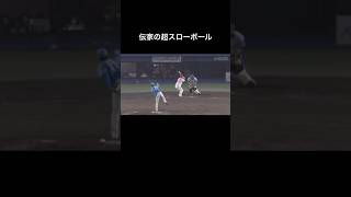 伊藤大海の伝家の超スローボールが凄いプロ野球 おすすめ おもしろ shorts funny [upl. by Paugh465]