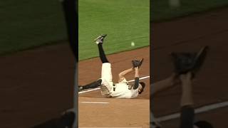 Craziest Catches In MLB History [upl. by Ttekcirc]