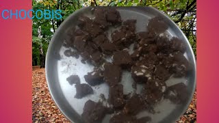 Chocobis RecipeRecipe dayTuesdayChromepet SamayalNo flourNo stove [upl. by Arst]