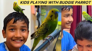 We bring our budgie in the room  Kids playing with budgie parrot 🦜  Chandra Vlogs UK [upl. by Adnilemreh428]