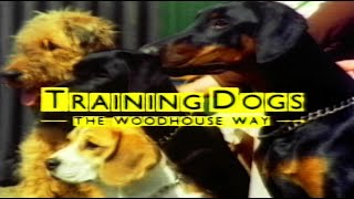 Training Dogs The Woodhouse Way  Barbara Woodhouse [upl. by Aidualc452]