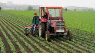 LandwirtIn  Eine Stellenausschreibung [upl. by Renraw400]