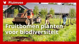 Fruitbomen planten om biodiversiteit op biologisch pluimveebedrijf te vergroten [upl. by Lamphere]