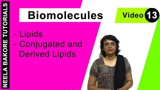 Biomolecules  NEET  Lipids  Conjugated and Derived Lipids  Neela Bakore Tutorials [upl. by Yarised]