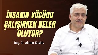 İnsanın Vücudu Çalışırken Neler Oluyor  Doç Dr Ahmet Kavlak [upl. by Htebizile155]