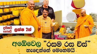 අඹේවෙල රසම රස චීස් හැදෙන්නේ මෙහෙමයි 🧀🧈 Ambewela Farm Dairy Products [upl. by Aralk790]