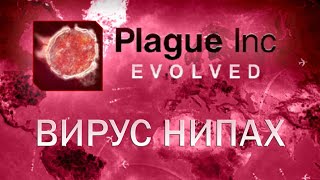 Plague Inc Evolved Вирус Нипах  Nipah Virus [upl. by Baniez110]