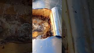 Solar water heater Inner tank leckage problem 🤮 Solution [upl. by Slorac946]