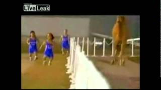 4 Midgets Race a camel w Super Mario Bros Sounds [upl. by Dwane]