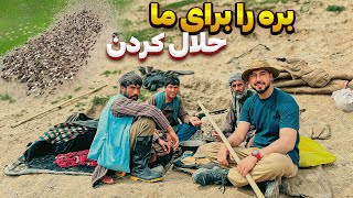 چوپان ها در جنگل مهمان ما کردند [upl. by Oznarol448]