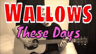 Wallows  These Days  Fingerpicking Guitar Cover [upl. by Michel]