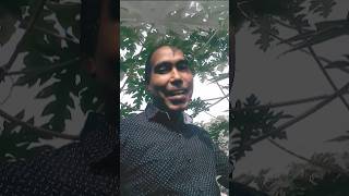 Samar Singhbhojpuri song [upl. by Reece203]