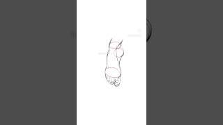 Foot anatomy art adobefrescopainting drawing basicart digitalart digitaldrawing foot [upl. by Akim]