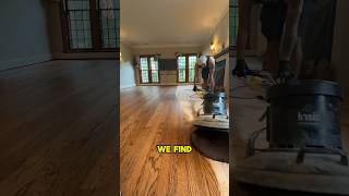 Using a CARPET pad to Apply Stain❗️😱 flooringexperts contractor woodworking flooring fyp diy [upl. by Grane703]