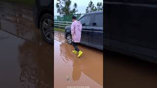 Waterproof Flying Golden Shoes 👟 ll Carriage House wooden artist ll cartoon shortvideo [upl. by Huppert]