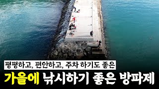 매년 가을마다 떼고기가 들어 온다는 방파제 나도 한번 낚시 해봤습니다 박과장TV [upl. by Atinuahs]