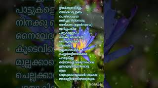 Aniyathipravutrending viralvideo shortsmusic shortvideo shorts lyricvideo lyricss songlove [upl. by Webber]