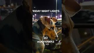 Skyhawks win again beagletales football fridaynightlights [upl. by Ydurt]