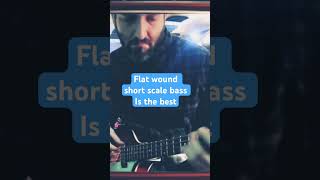 Flat wound strings on bass are the best bass bassmusic bassguitar bassist [upl. by Nickola482]